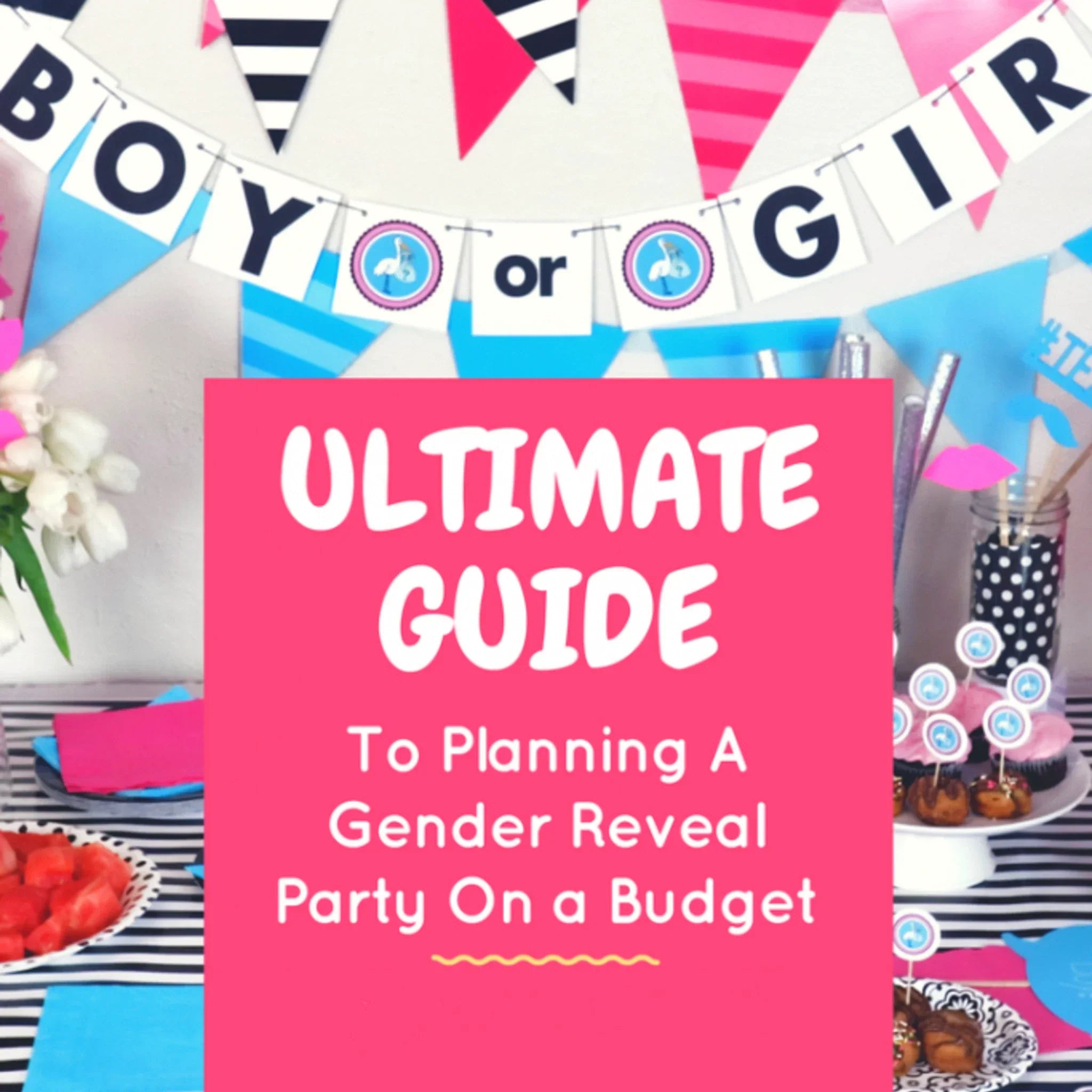 The Ultimate Guide to Planning a Gender Reveal on a Budget