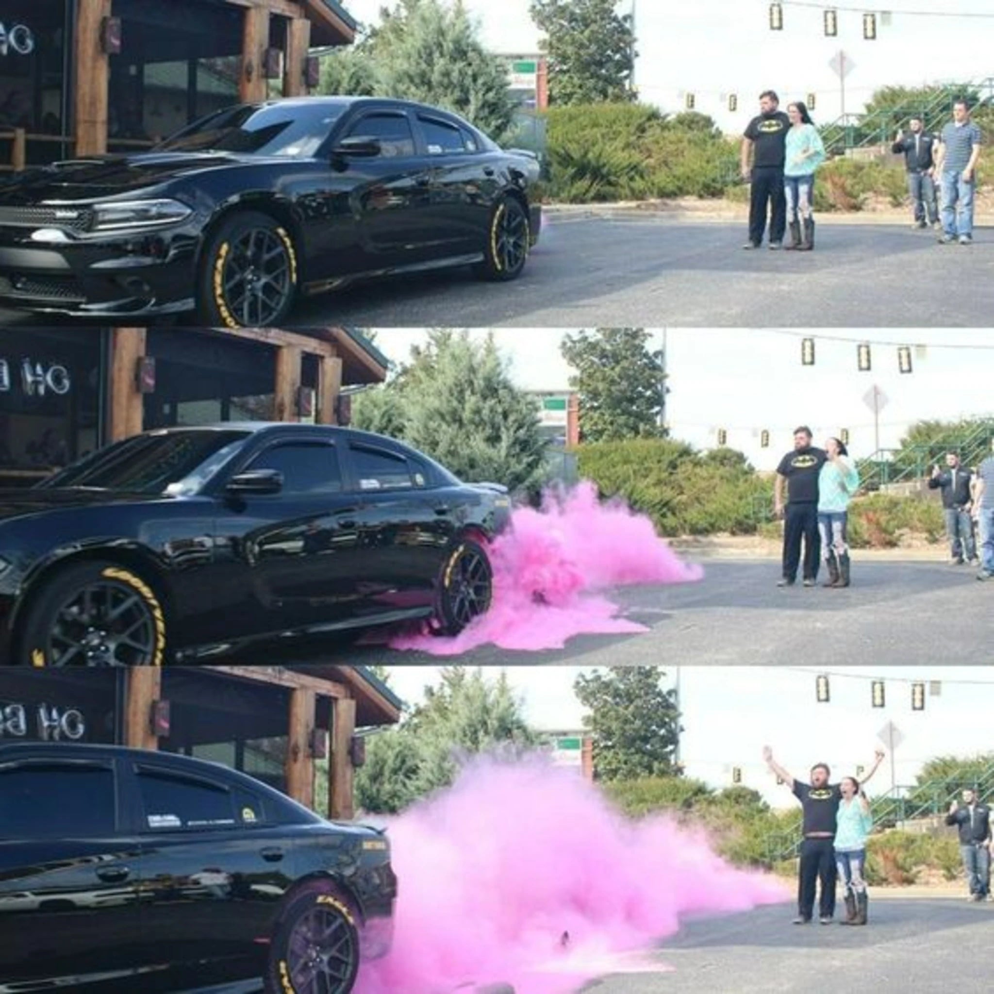 2lb Gender Reveal Color Powder (2 - 1lb Bags) Color BlazeĀ®