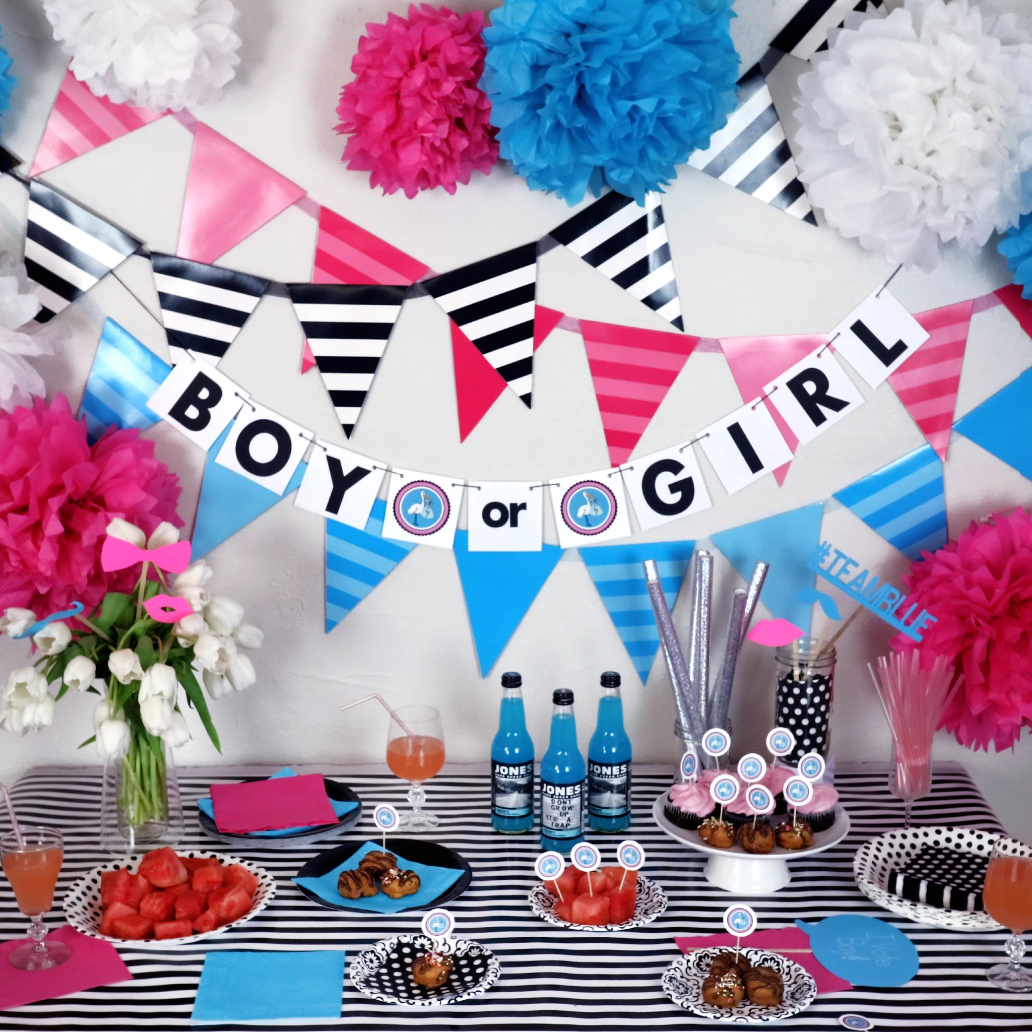 Gender Reveal Party Banner Color Blaze®