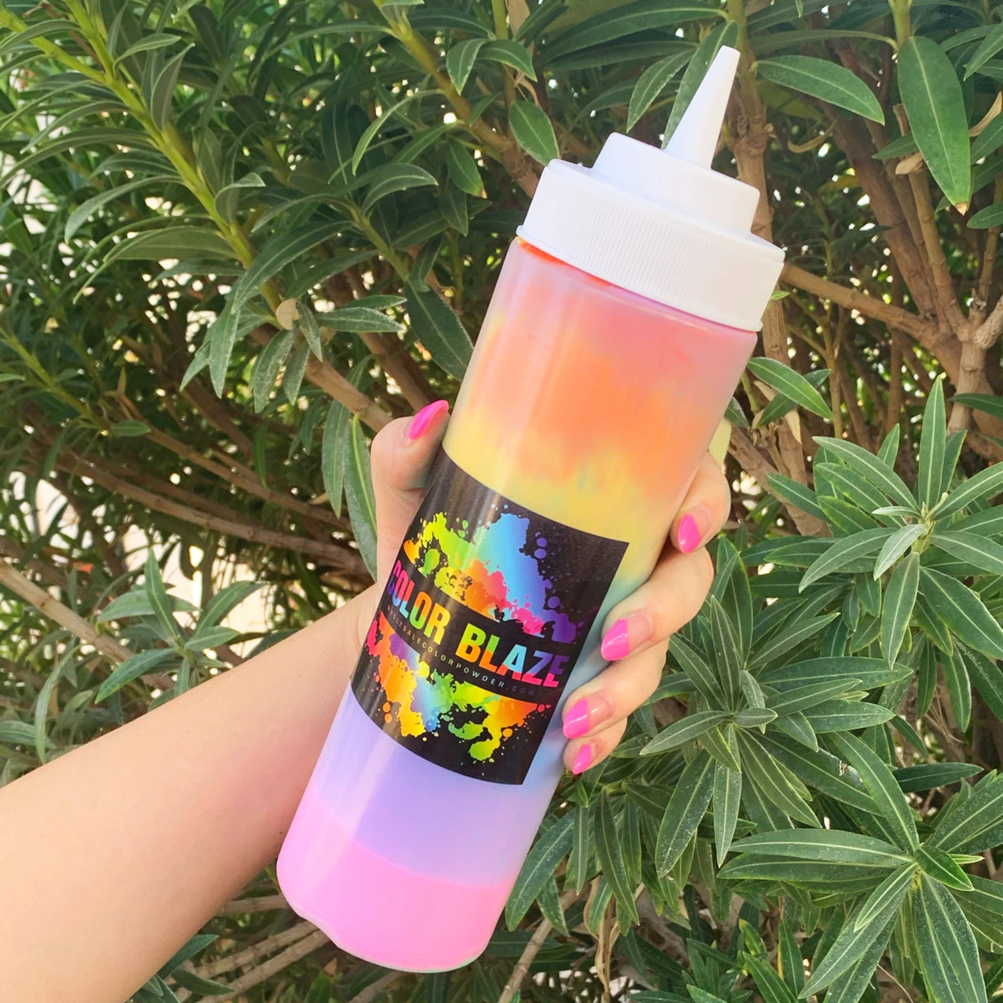 Empty Squeeze Bottles (6 Pack) Color Blaze®